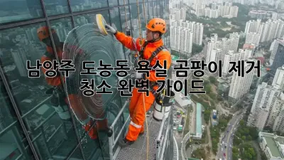 남양주 도농동 욕실 곰팡이 제거 청소 완벽 가이드